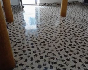 Mosaic Polishing